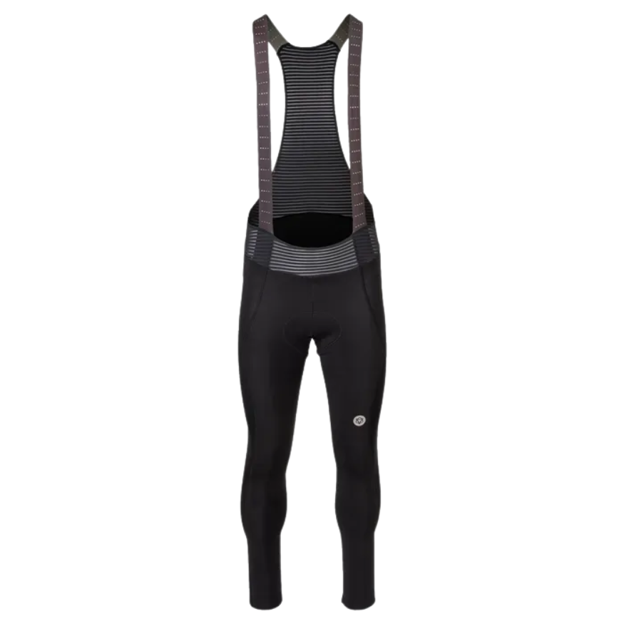 AGU Bibshort-Guide - AGU